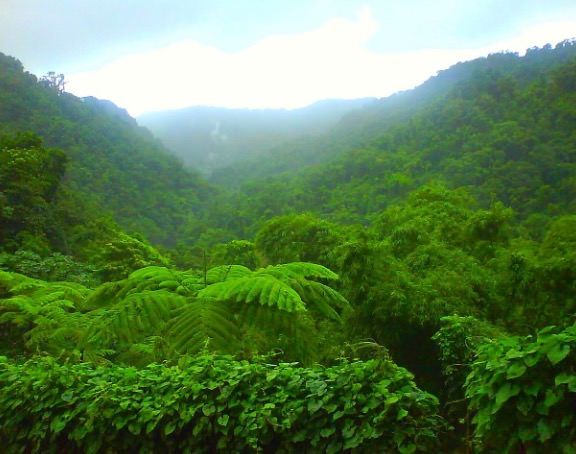 Le Jardin de Balata