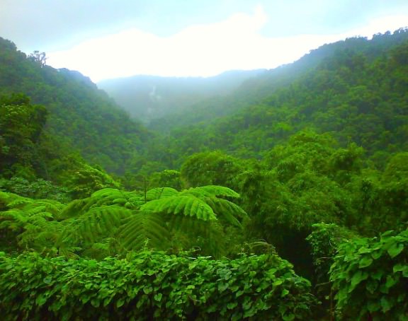 Le Jardin de Balata