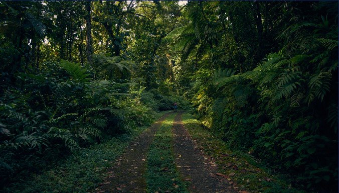 route guadeloupe