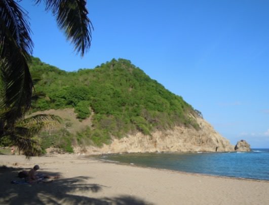 Anse Figuier Martinique