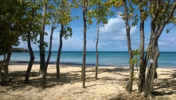Plage Anse Salines