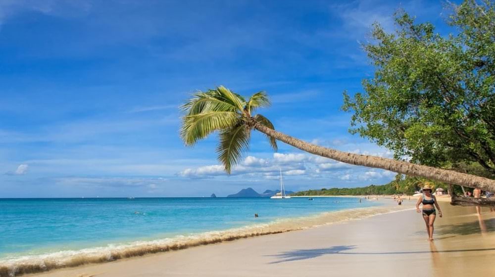 plages de martinique