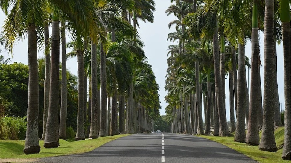 La Route De La Traversée, Basse-terre