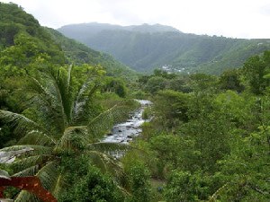 Louer véhicule vieux habitants