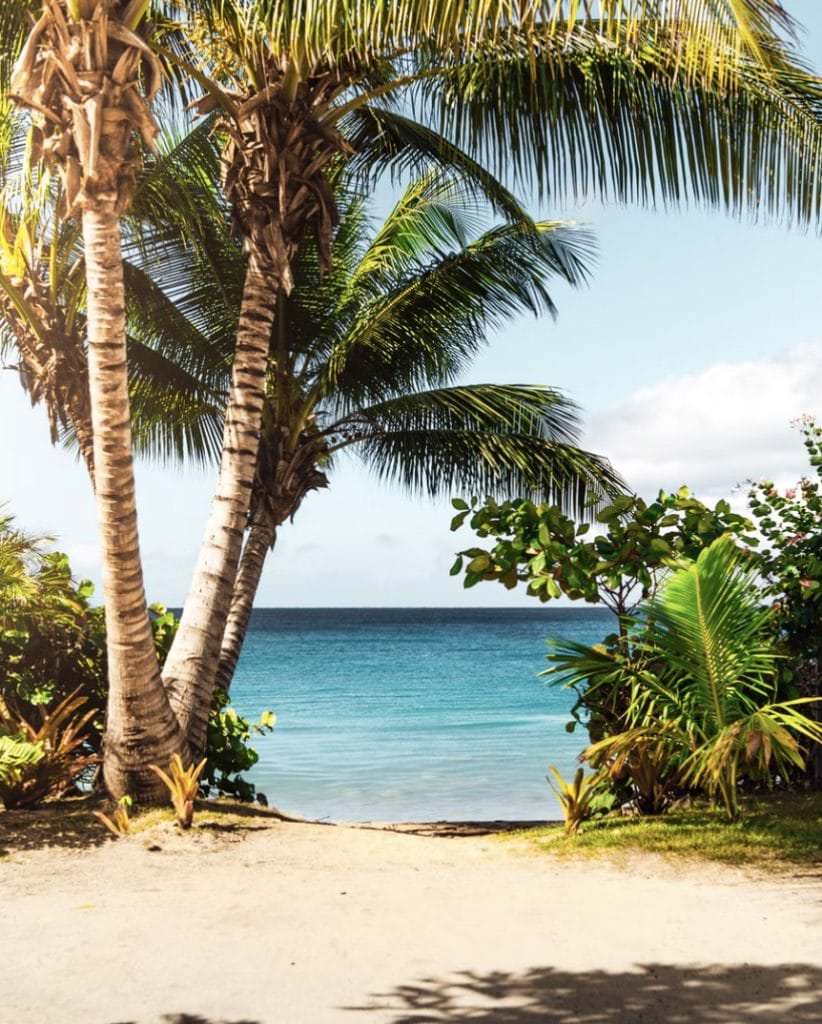 Choix de véhicule pour la Martinique