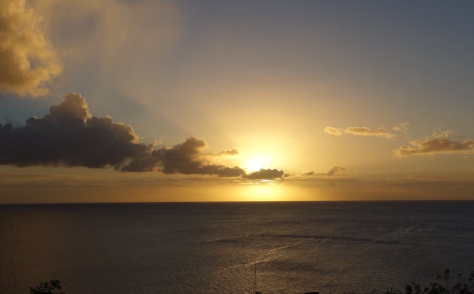 Basse-Pointe : Découvrez La Commune De Basse-Pointe En Martinique