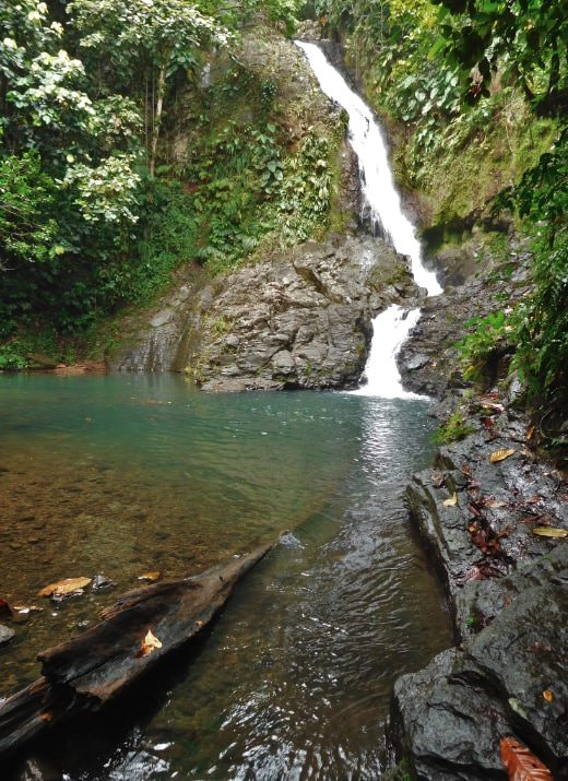 Cascade Bras le Fort à Goyave